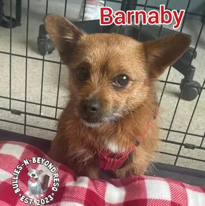 Barnaby