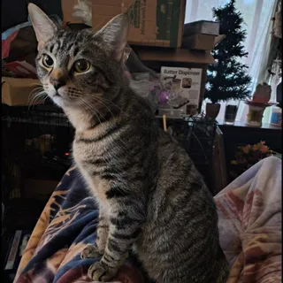 Sebastian