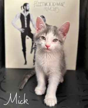 Mick