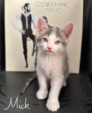 Mick