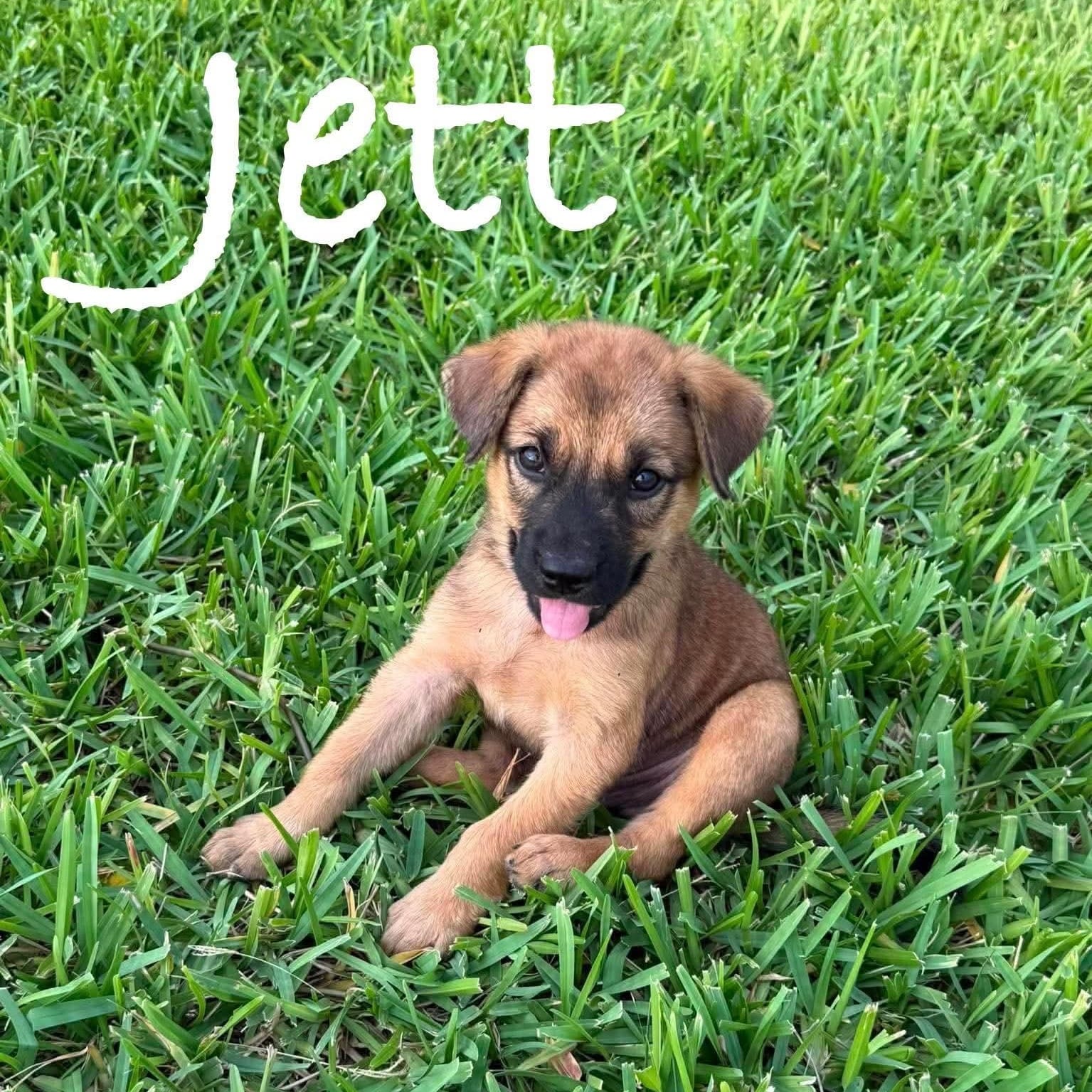 Jett