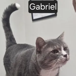 Gabriel
