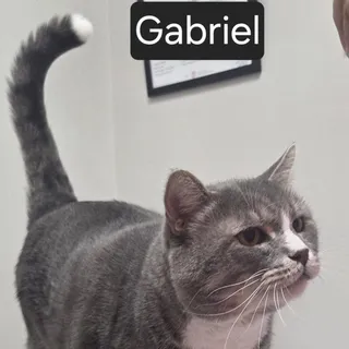 Gabriel