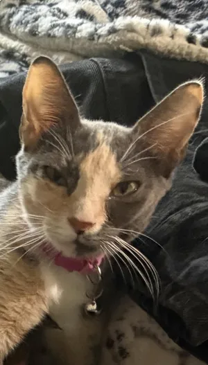 Lucy Lou