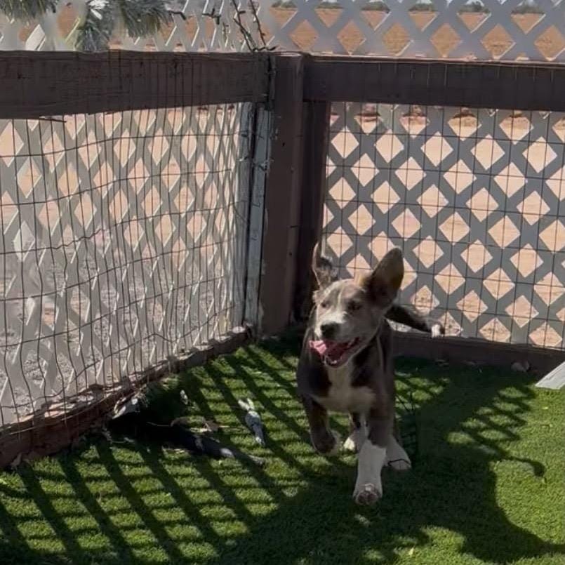 Zeus