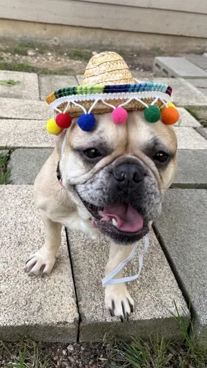 Winnie