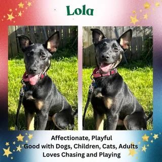 Lola