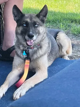 Mia