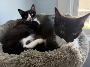Fred and Ethyl
