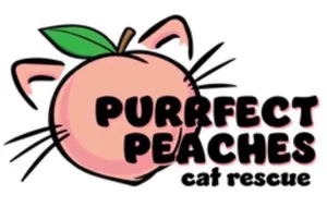 Princess Purrsephone