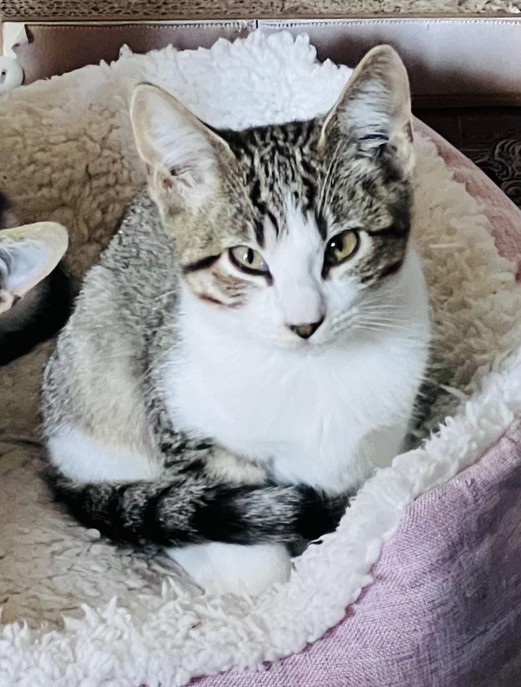 Sneezy