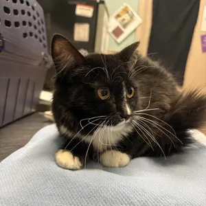 NALA