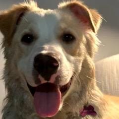 Penny