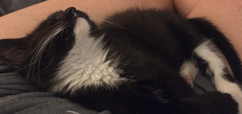 Mittens