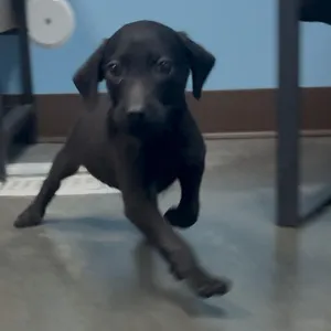 Jack