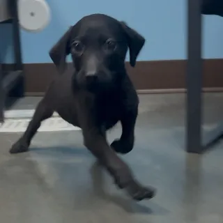 Jack