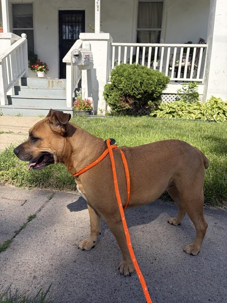 Gloria ( Scooby )
