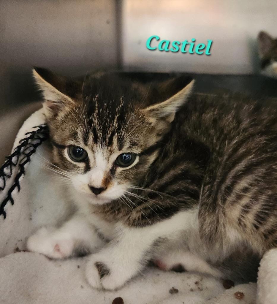 Castiel