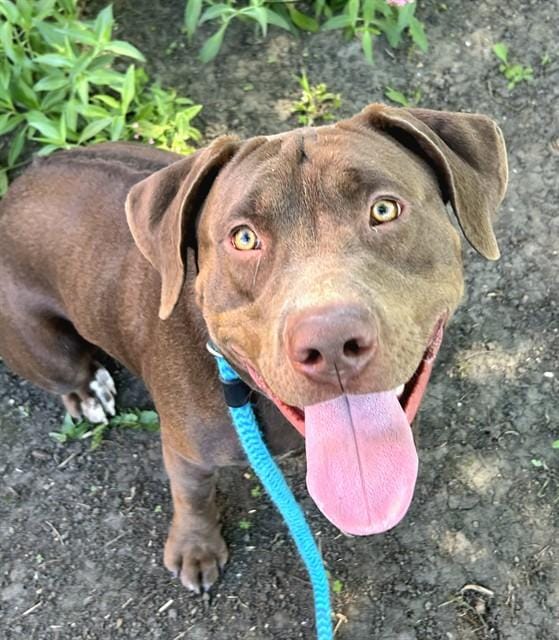 BUBBA