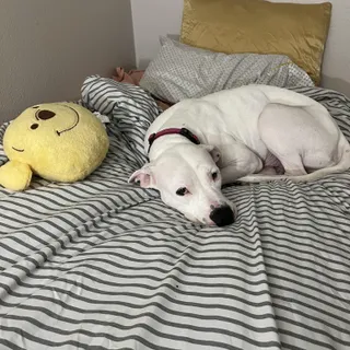 Sweetie