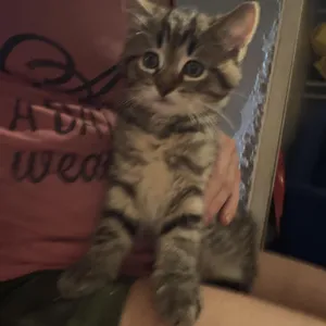 Charlie