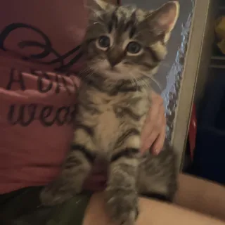 Charlie