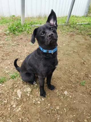 Duncan