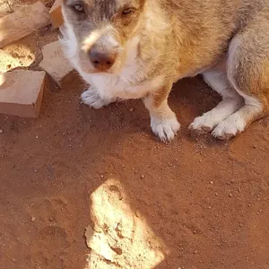 Esmeralda