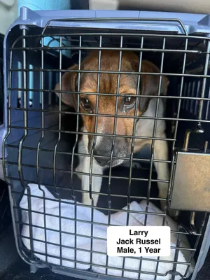 Larry