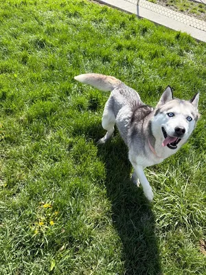 Luna