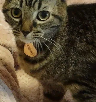Squirt