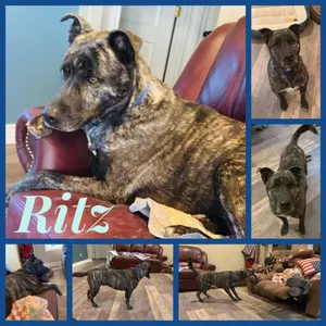 Ritz