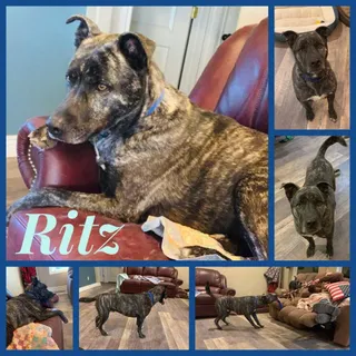 Ritz
