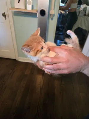Max