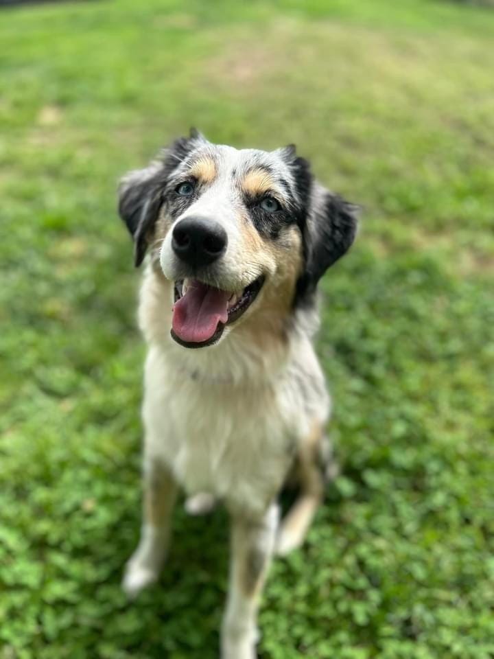 Remi ~