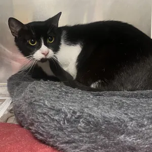Eleanor