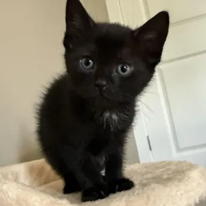 Maggie