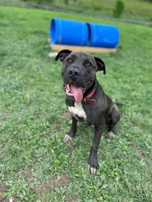 Zeus