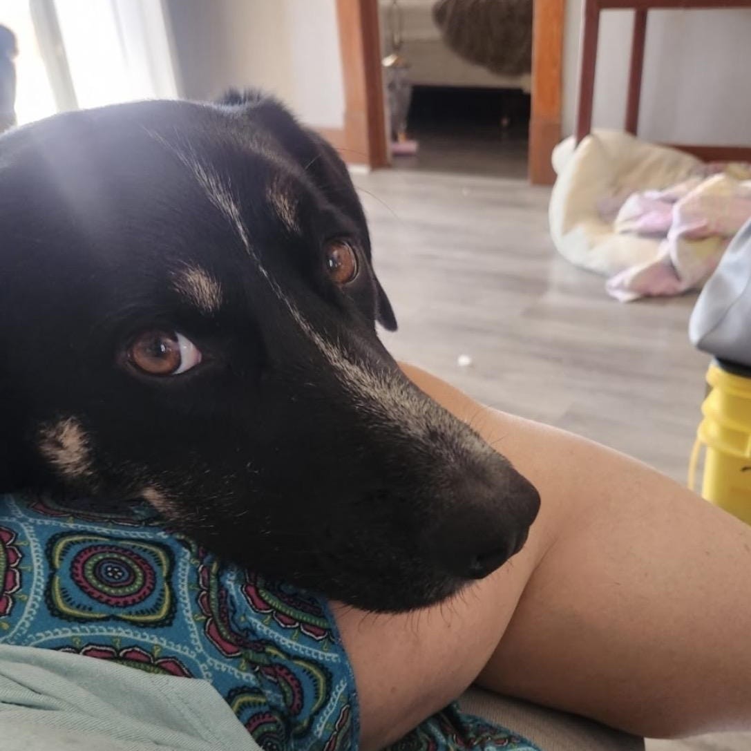 Rosko-COURTESY LISTING