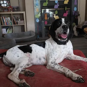 Tux