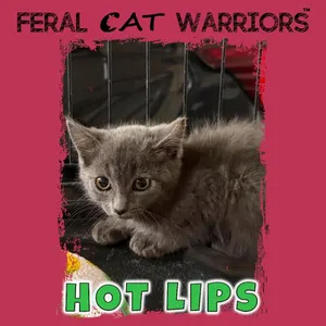 Hot lips