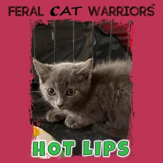 Hot lips