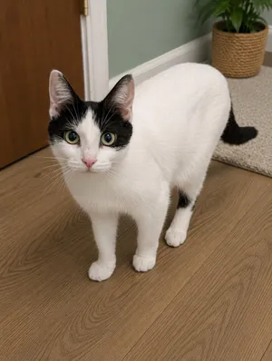Gracie Mae MD