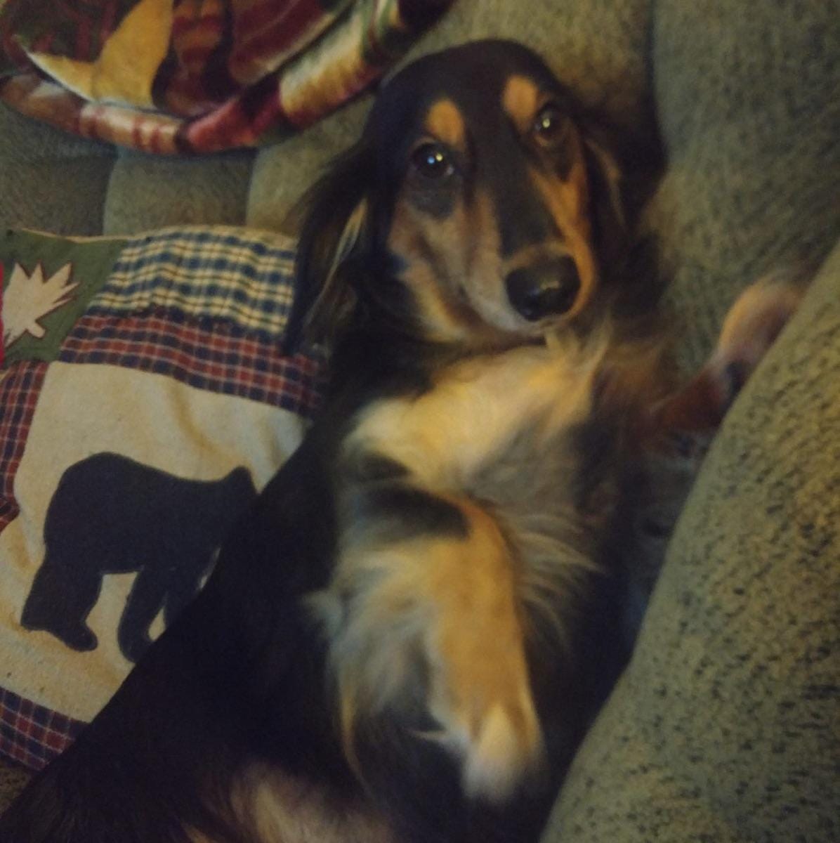Sammy