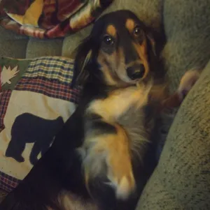 Sammy