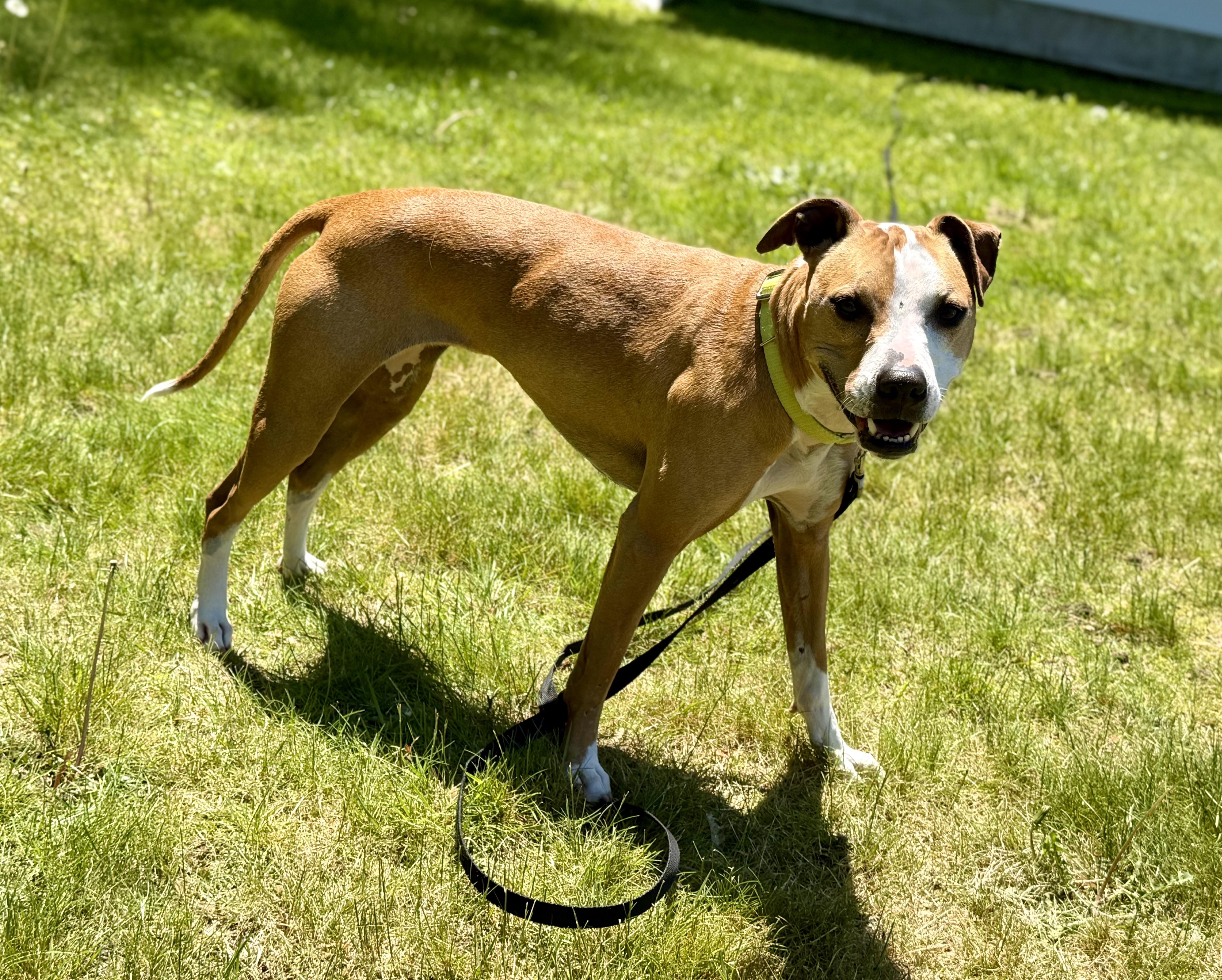 Ellie