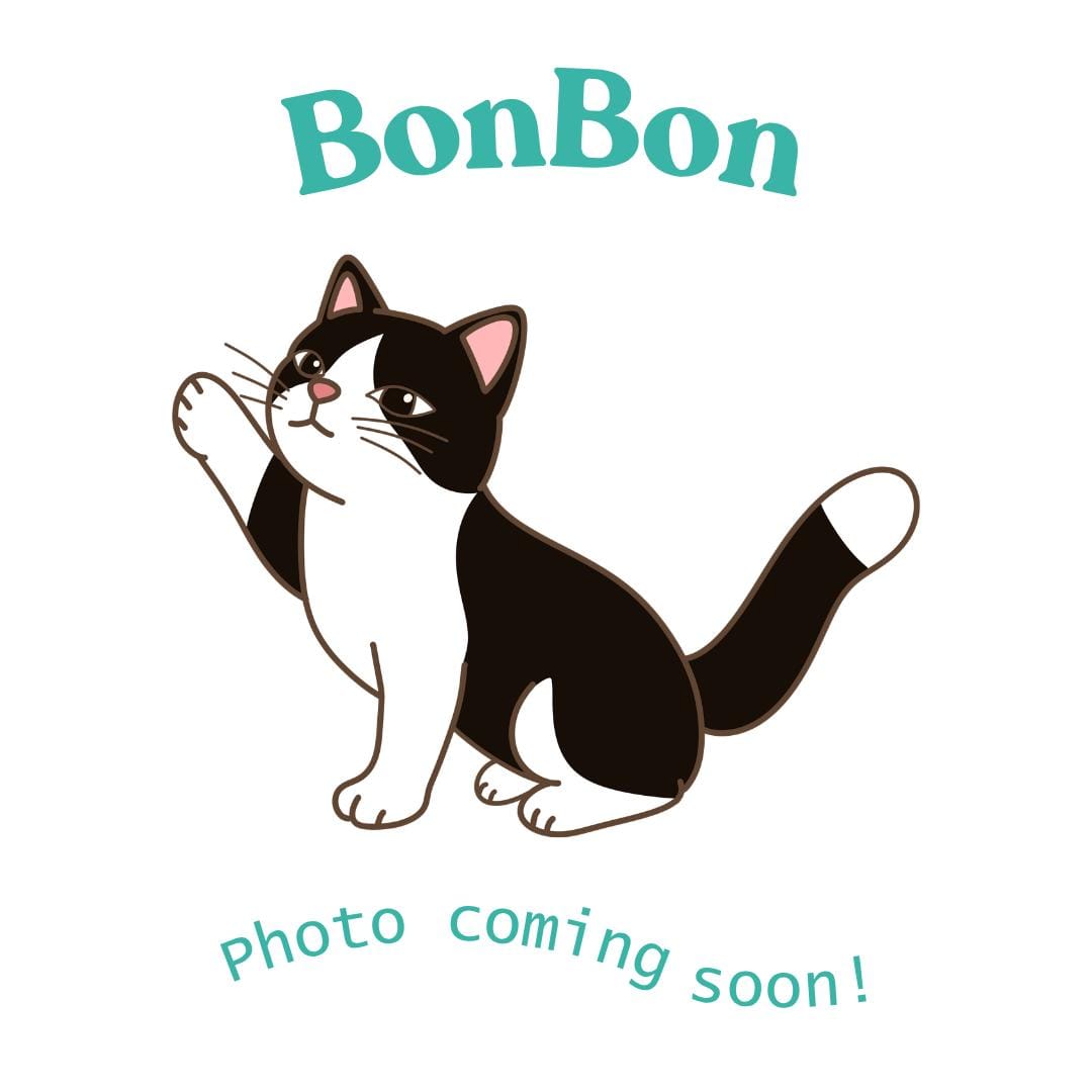 BonBon