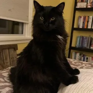 Stormy