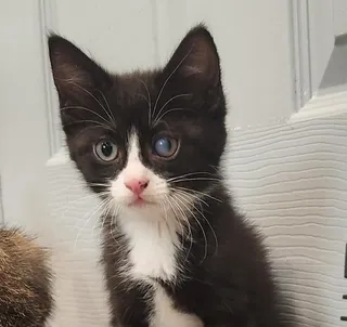 Salvador