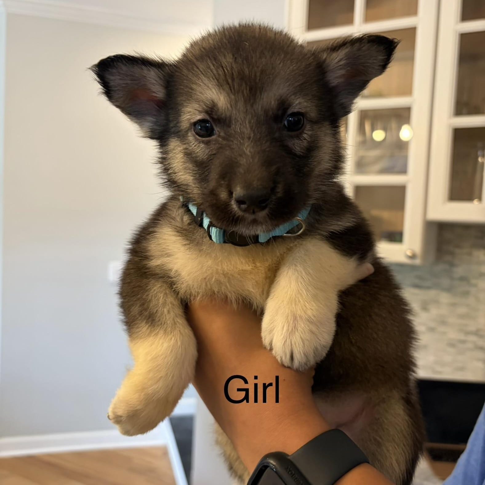 Kona